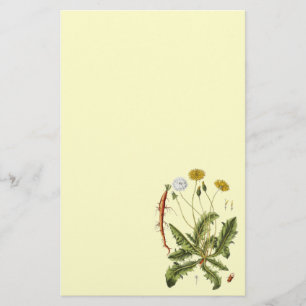 Vintage Dandelion Illustration Stationery