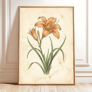 Vintage Daylily Botanical Canvas Art Print