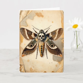Vintage Death's-head Hawkmoth Entomology Art Card