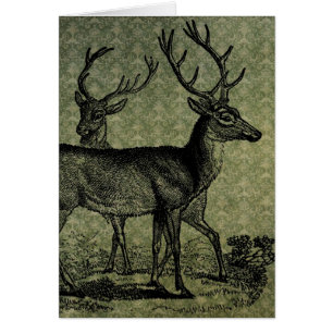 Vintage Deer