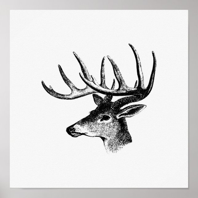 Vintage Deer Illustration Poster (Front)