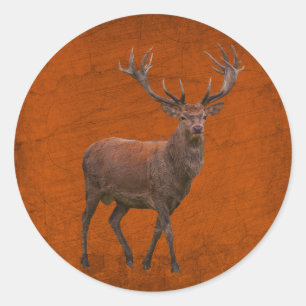 vintage deer in orange nature classic round sticker
