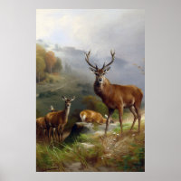 Vintage Deer Stag - Animals Old Illustration Art