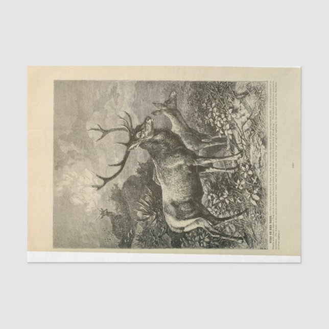 Vintage Deer Stag Ephemera Decoupage Tissue Paper (Front)