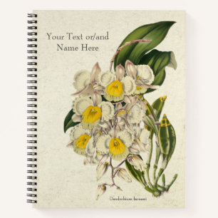 Vintage Dendrobium farmeri Orchid Notebook