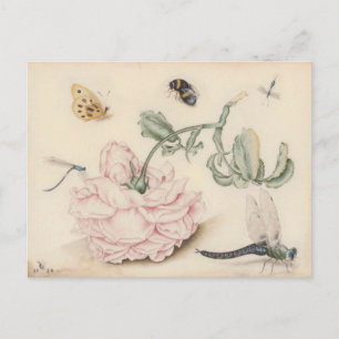 Vintage design with with a pink rose and insects postcard