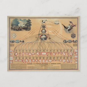 Vintage Diagram of the Federal Government Postcard