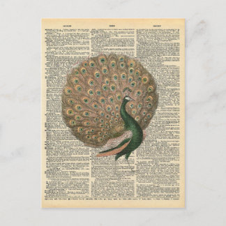 Vintage Dictionary Art Beautiful Peacock Bird Postcard
