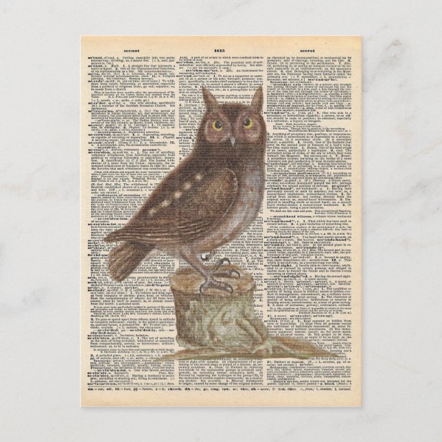 Vintage Dictionary Art Brown Owl Bird Postcard (Front)