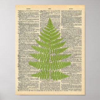 Vintage Dictionary Art Green Fern Frond Print