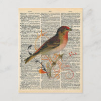 Vintage Dictionary Art Pretty Red Orange Bird