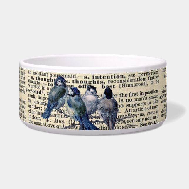 Vintage dictionary print with birds (Front)