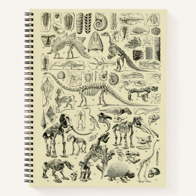 Vintage Dinosaur Bone Fossils Art Notebook (Front)