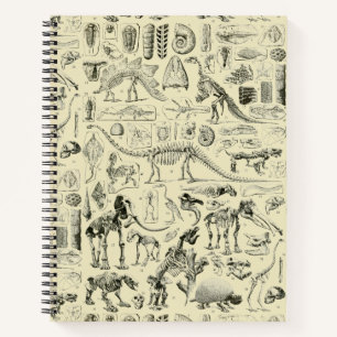 Vintage Dinosaur Bone Fossils Art Notebook
