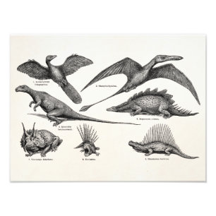 Vintage Dinosaur Illustration Retro Dinosaurs Photo Print