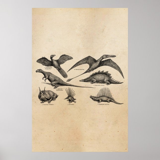 Vintage Dinosaur Illustration Retro Dinosaurs Poster (Front)