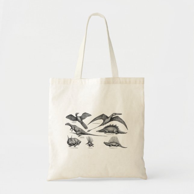 Vintage Dinosaur Illustration Retro Dinosaurs Tote Bag (Front)