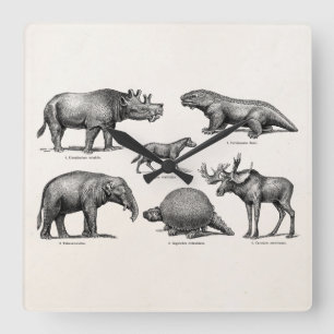 Vintage Dinosaur Illustration Retro Old Dinosaurs Square Wall Clock