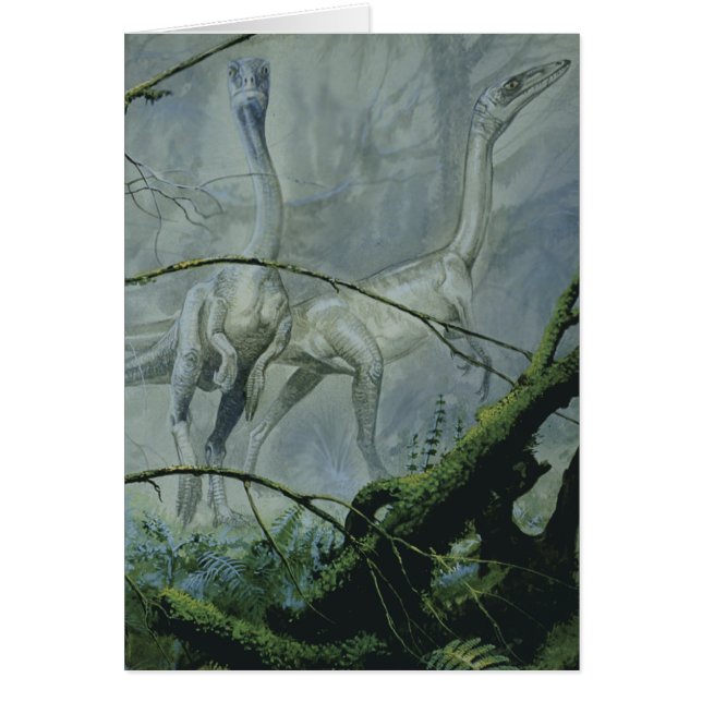 Vintage Dinosaurs, Megapnosaurus aka Syntarsus (Front)