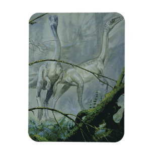 Vintage Dinosaurs, Megapnosaurus aka Syntarsus Magnet