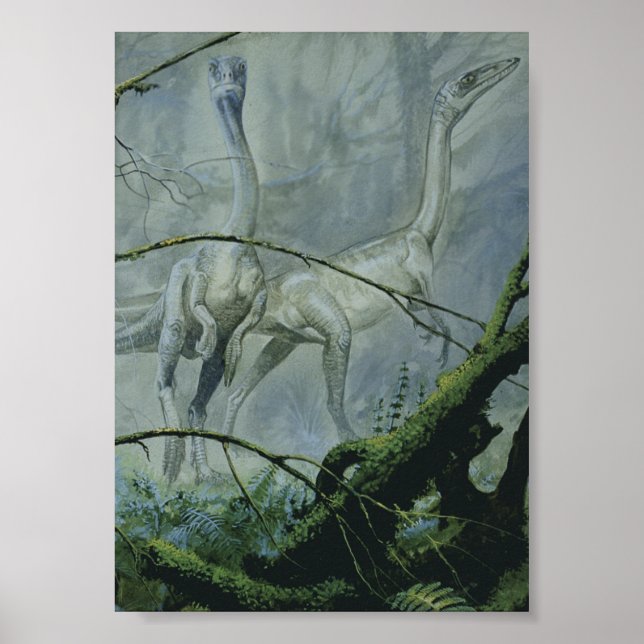 Vintage Dinosaurs, Megapnosaurus aka Syntarsus Poster (Front)