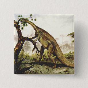 Vintage Dinosaurs, Plateosaurus Grazing on Trees 15 Cm Square Badge
