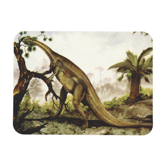 Vintage Dinosaurs, Plateosaurus Grazing on Trees Magnet (Horizontal)