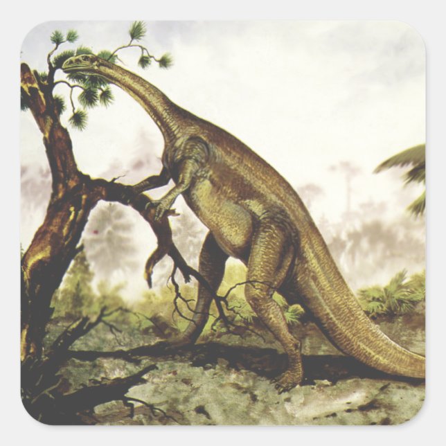 Vintage Dinosaurs, Plateosaurus Grazing on Trees Square Sticker (Front)