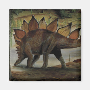Vintage Dinosaurs, Stegosaurus, Tail with Spikes Magnet