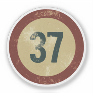 Vintage Distressed Number 37