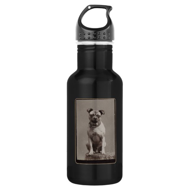 Vintage Dog 532 Ml Water Bottle (Front)
