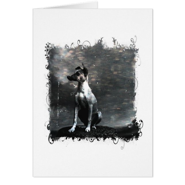 Vintage Dog All Occasions (Front)