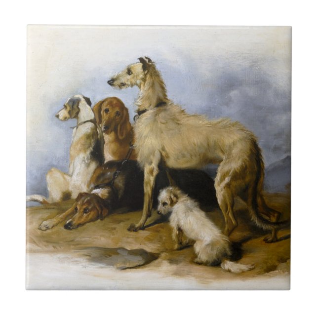 Vintage Dog Breeds Print Tile (Front)