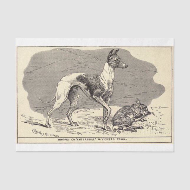 Vintage Dog Ephemera Decoupage Whippet Tissue Paper (Front)