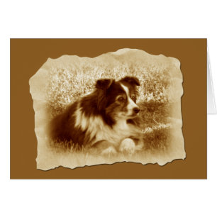 Vintage Dog in Sepia Tones Greeting Card