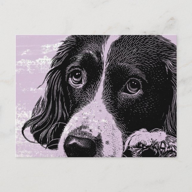 Vintage Dog Postcard (Front)
