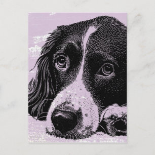 Vintage Dog Postcard