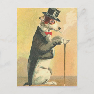 Vintage Dog Postcard