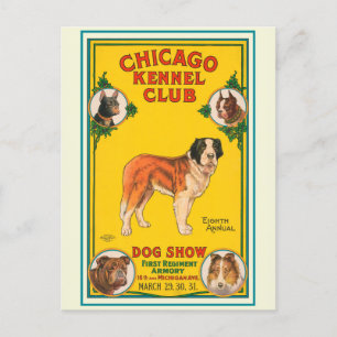 Vintage Dog Show Chicago Kennel Club Poster Postcard