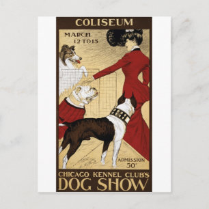 Vintage Dog Show Chicago Postcard