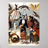 Vintage Dogs Circus Illustration Art Old Antique