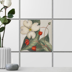 Vintage Dogwood Tree Flower Illustration Tile
