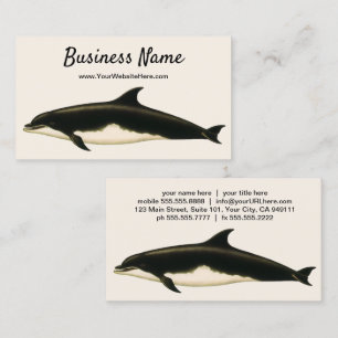 Vintage Dolphins Delphinus Tursio, Marine Mammals Business Card