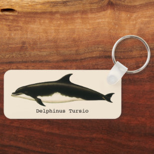 Vintage Dolphins Delphinus Tursio, Marine Mammals Key Ring