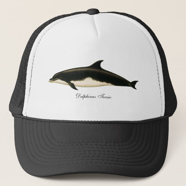 Vintage Dolphins Delphinus Tursio, Marine Mammals Trucker Hat (Front)