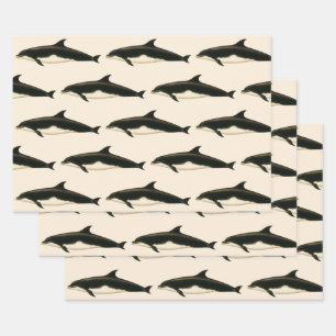 Vintage Dolphins Delphinus Tursio, Marine Mammals Wrapping Paper Sheet