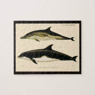 Vintage Dolphins, Marine Mammals Animals  Jigsaw Puzzle