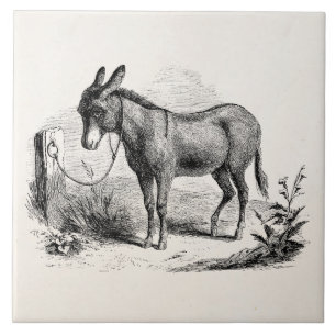 Vintage Domestic Donkey Personalised Retro Donkeys Tile
