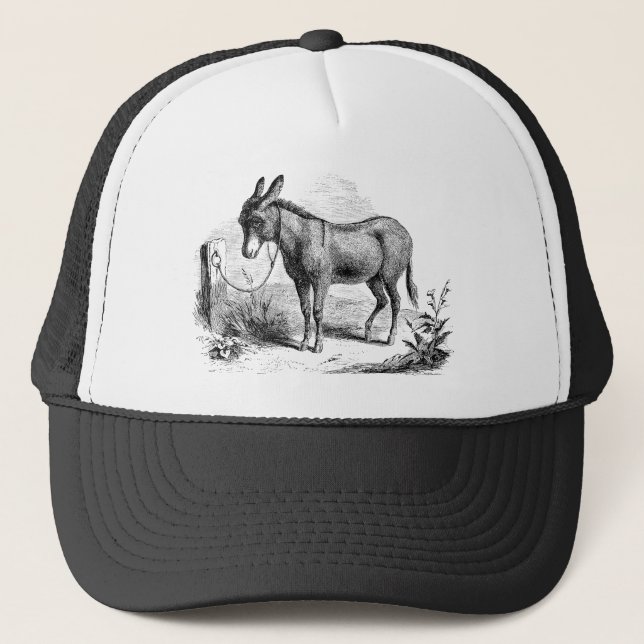 Vintage Domestic Donkey Personalised Retro Donkeys Trucker Hat (Front)