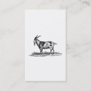Vintage Domestic Goat Illustration - 1800's Goats Business Card